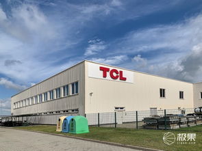對(duì)話王成 TCL如何在2020年躋身歐洲前三，國(guó)內(nèi)貿(mào)易代理又扮演何種角色？